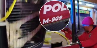 IBA presenta denuncia contra Chignahuapan por desaparecer perros