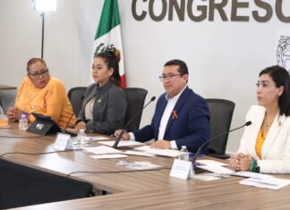 Congreso trabaja para sancionar violencia contra mujeres: Pavel Gaspar