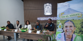 Congreso de Puebla promueve tercera Feria del Aguacate en Atlixco
