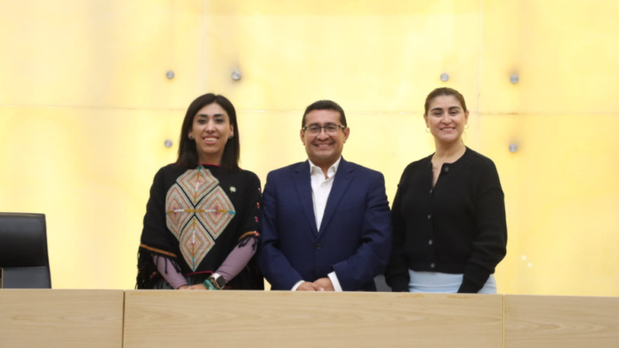 Diputado-por-un-día