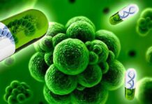 Avanza combate contra la resistencia antimicrobiana en México