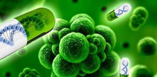 Avanza combate contra la resistencia antimicrobiana en México