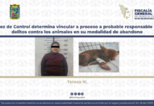 Vinculan a proceso a mujer por abandono de su perrita en Puebla