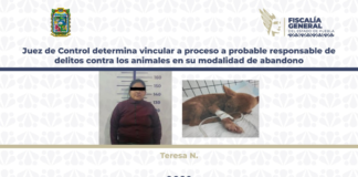 Vinculan a proceso a mujer por abandono de su perrita en Puebla