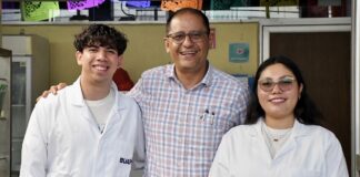En BUAP estudian cómo combatir hongos cancerígenos en el maíz