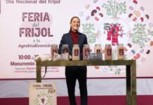 México presenta Frijoles Bienestar; costará 30 pesos el kilo