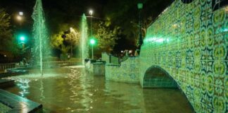 Revitalizan fuentes de Azulejos, Ranitas y Cisnes en San Francisco