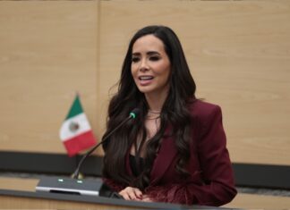 Graciela Palomares presentó 25 iniciativas en su primer año legislativo