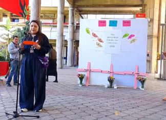 Puebla enfrenta 32 feminicidios probables en 2025, alerta IBERO