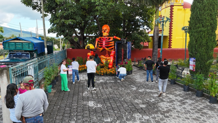 La-Catrina-Taquero