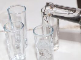 Puebla obtiene 15 medallas en Concurso Nacional México Selection 2025