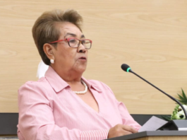 Modesta Delgado presenta iniciativa para internet seguro a menores