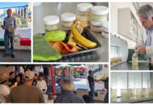 Investigador UDLAP presenta proyecto de tratamiento de agua en Tlaxcalancingo