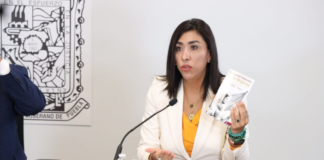 Norma Pimentel busca eliminar mediación en casos de violencia familiar