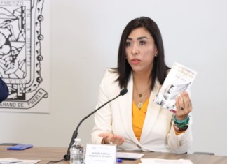 Norma Pimentel busca eliminar mediación en casos de violencia familiar