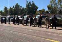 Puebla y Guerrero desarrollan operativo de seguridad en municipios limítrofes