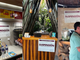 Profeco detecta precios elevados en hoteles y restaurantes de Tulum