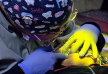 Investigadores BUAP cuantifican niveles de estrés en tratamientos dentales