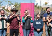 Norma Pimentel realiza jornada de reforestación en San Lorenzo Almecatla