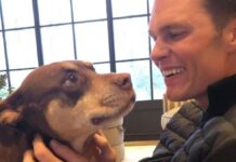 Tom Brady revela que clonó a su perrita con muestra de sangre