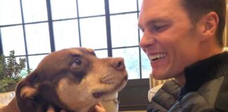 Tom Brady revela que clonó a su perrita con muestra de sangre