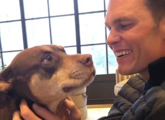 Tom Brady revela que clonó a su perrita con muestra de sangre