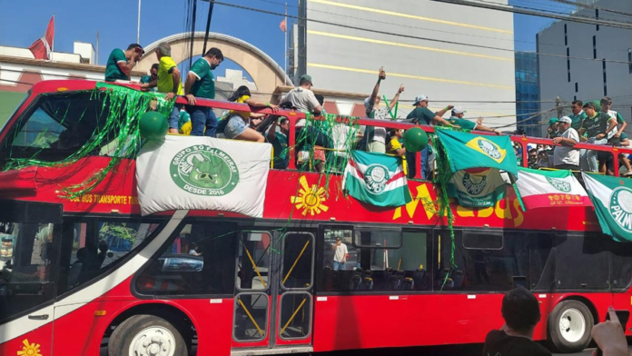 aficionado-Palmeiras