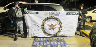 Guardia Nacional asegura 50 paquetes de narcóticos en Amozoc