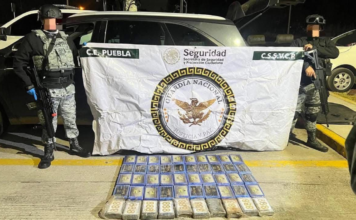 Guardia Nacional asegura 50 paquetes de narcóticos en Amozoc