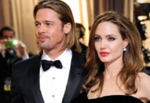 Brad Pitt demanda a Angelina Jolie por 35 mdd