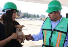 Armenta pide no regalar animales en Navidad para evitar abandono