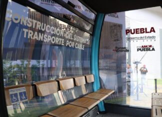 Constructora del Cablebús plantará 10 mil árboles en Puebla capital