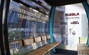 Constructora del Cablebús plantará 10 mil árboles en Puebla capital