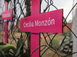 Juicio por feminicidio de Cecilia Monzón pasa a alegatos de clausura