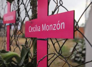 Juicio por feminicidio de Cecilia Monzón pasa a alegatos de clausura