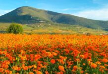 Armenta evalúa proyectos de inversión para la zona “Cola de Lagarto”