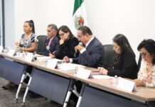 Aprueban exhorto para dar en adopción animales en situación de calle