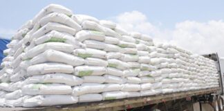 Inversión de mil 634 mdp ha fortalecido al campo poblano