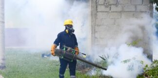 Puebla registra reducción del 91% en casos de dengue durante 2025