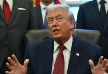 Trump podría dejar expirar el T-MEC y renegociar con México y Canadá