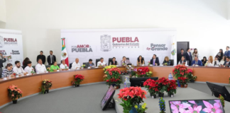 Puebla apoya producción de Flor de Nochebuena en Atlixco y Sierra Norte