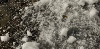 Granizada amenaza cultivo de amaranto en San Simón Atzitzintla