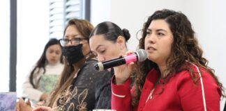 Avala Comisión impulso a estrategias para prevenir violencia contra mujeres