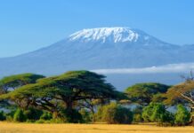 Accidente en rescate aéreo deja cinco muertos en el Kilimanjaro