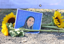 Ley Monzón se aprobará en la Cámara de Diputados en marzo de 2026