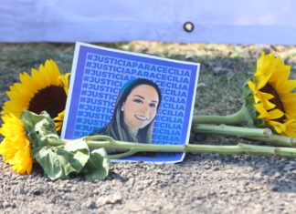 Ley Monzón se aprobará en la Cámara de Diputados en marzo de 2026