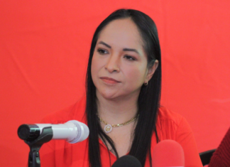 Morena, PT y PVEM seguirán en alianza para diputaciones federales y locales