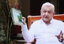 Pável Gaspar niega ruptura interna en Morena tras reaparición de AMLO