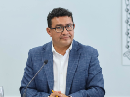 Revisaremos que candidatos en Puebla no sean delincuentes: Pável Gaspar