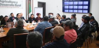 Acuerdan búsqueda de precios justos para productores de sorgo en la Mixteca poblana